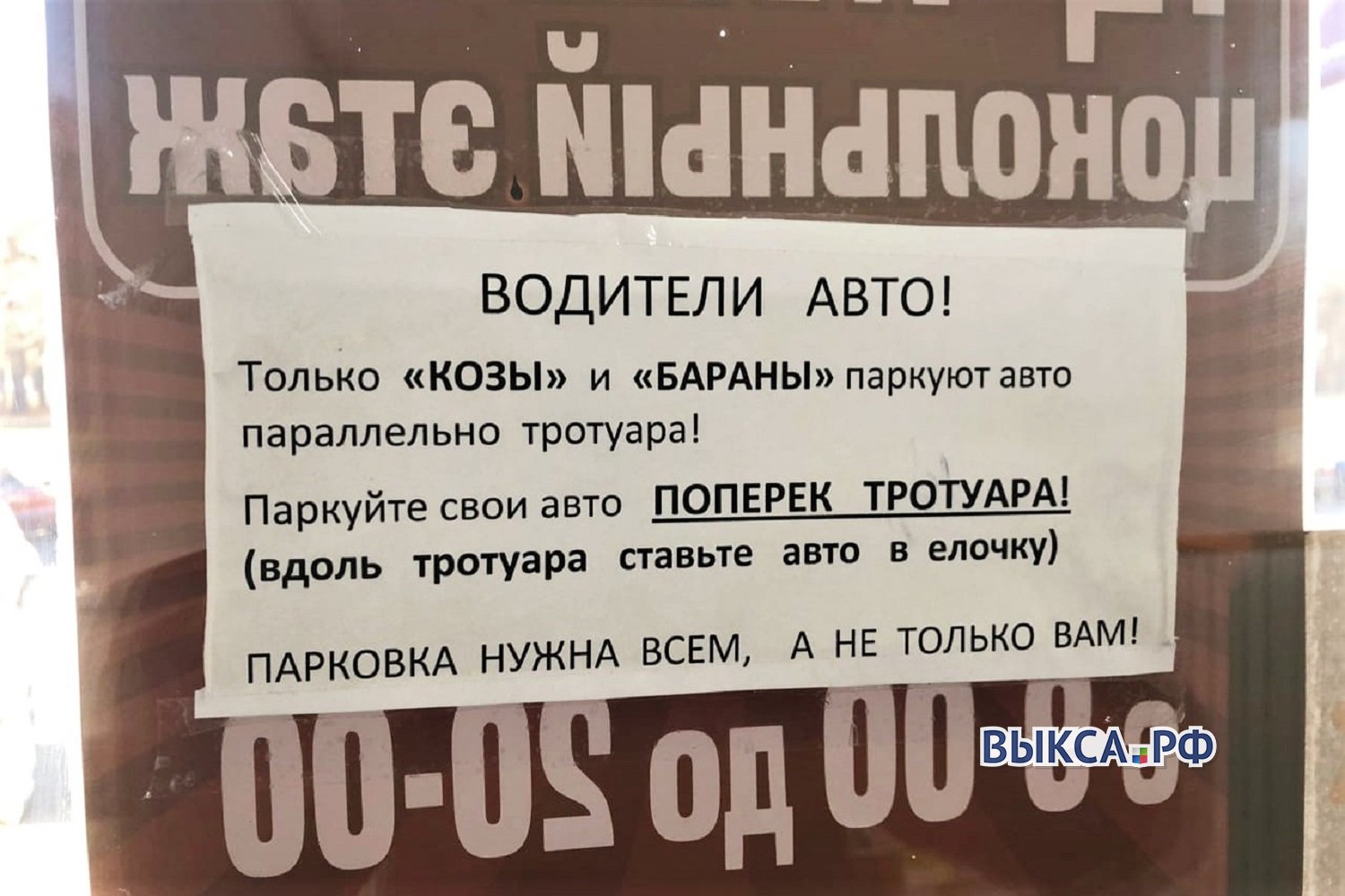 Водитель совсем не уважает пешеходов